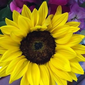 Meet your Posher, Claudia